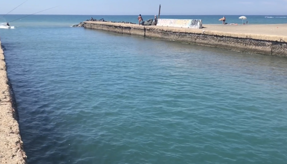 Il mare di Ostia  in salute